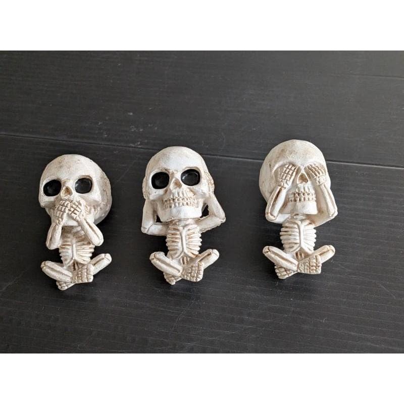 ドクロ　スカル　エアーフレッシュナー すかる　どくろ　骸骨　車載ディフューザー　芳香剤 |  | 01