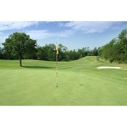 COLEMAN コールマン　CLT09-3　サングラス　 おしゃれ 薄い色　人気 ボストン　　偏光サングラス | Coleman | 06