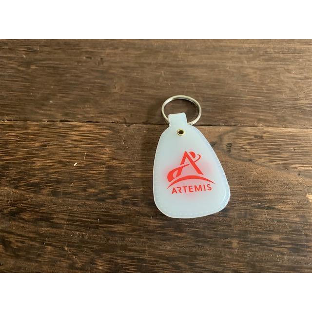 蓄光キーホルダー GLOWSTICK TOOBLITE 3インチ NASA WESTERN SADDLE KEY RINGキャンプ バイク ...