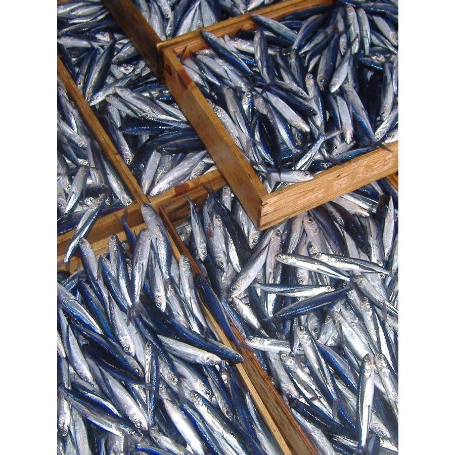 金の焼あごだし　80ｇ |  | 04