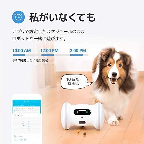 売れ筋 Varram ペット専用ロボット おやつ吐出 スケジューリング自律走行 活動量測定提供 犬と猫のためのロボット バレムペットフィットネス 正規品 Mobile Scotturb Com