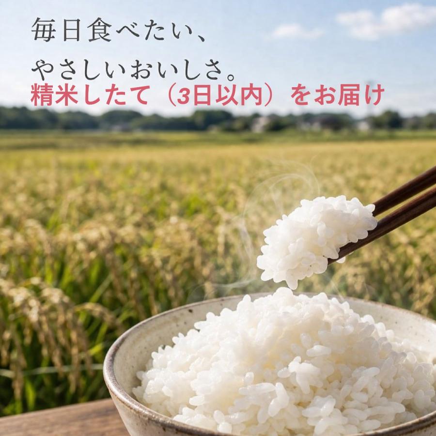 玄米1kg×4袋 Amazon.co.jp: ファンケル FANCL 発芽米 白米 仕立て 4kg