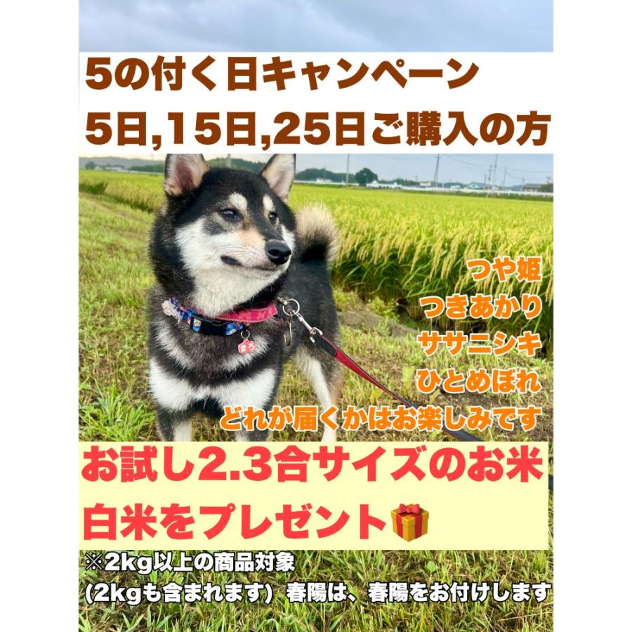 【大好評】令和7年産 宮城県産ひとめぼれ 新米20kg 玄米専用ページ 食べ比べ 米 令和7年産 宮城県産 登米市産 ひとめぼれ×ササニシキ