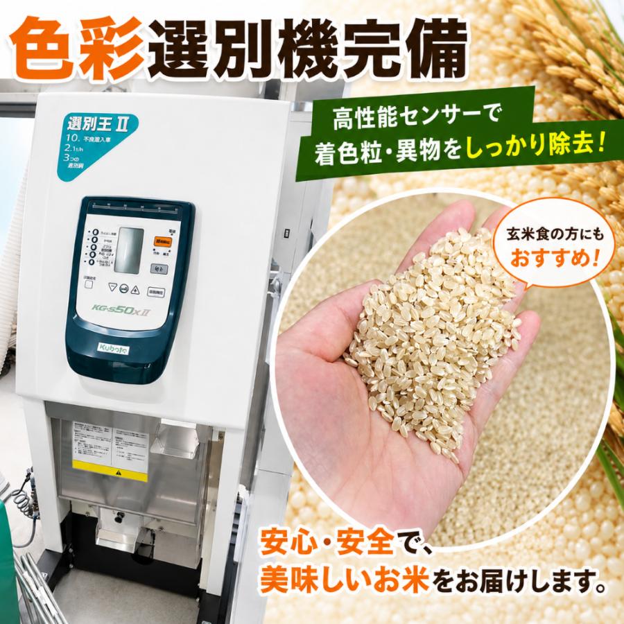 食べ比べ 米 令和7年産 宮城県産 登米市産 ひとめぼれ×ササニシキ