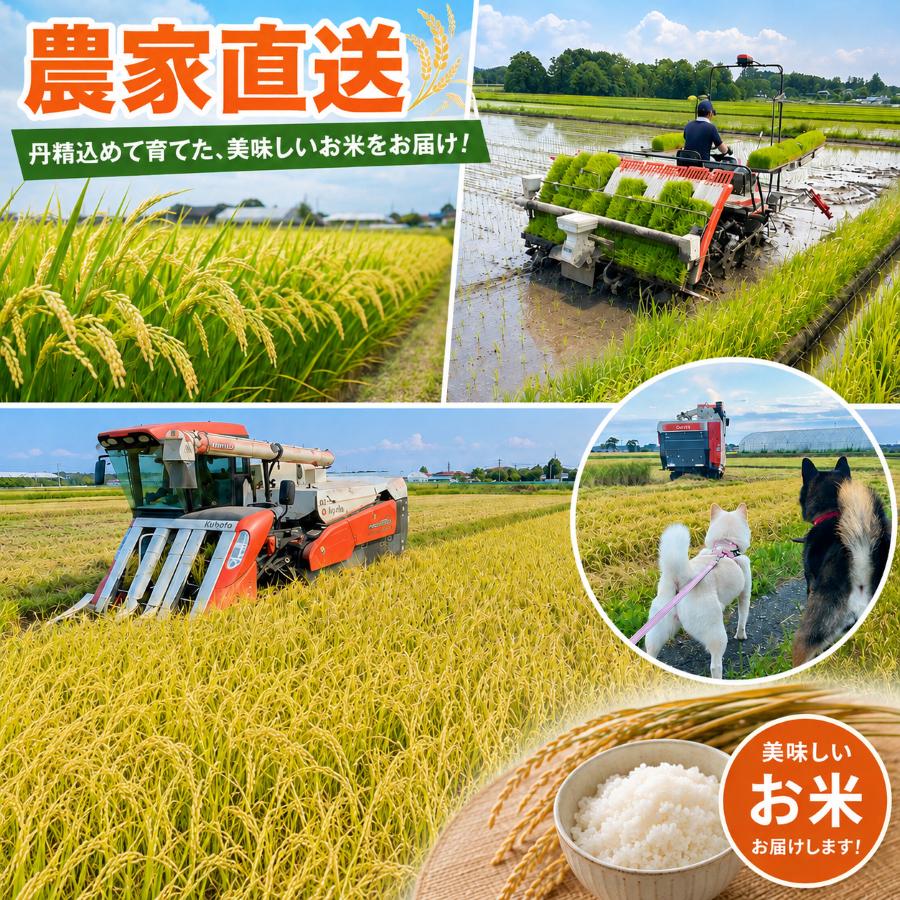 食べ比べ 米 令和7年産 宮城県産 登米市産 ひとめぼれ×ササニシキ