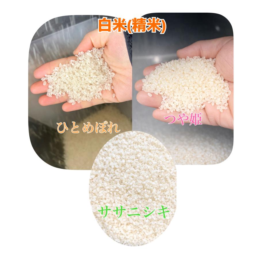 食べ比べ 米 令和7年産 宮城県産 登米市産 ひとめぼれ×ササニシキ