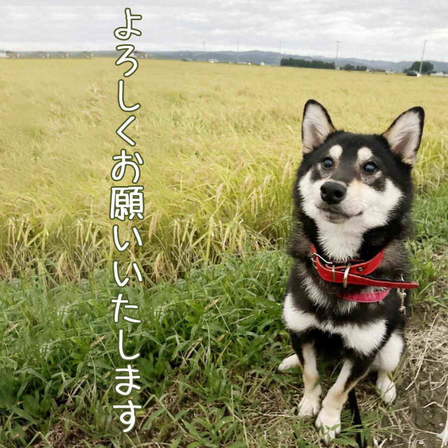 食べ比べ 米 令和7年産 宮城県産 登米市産 ひとめぼれ×ササニシキ