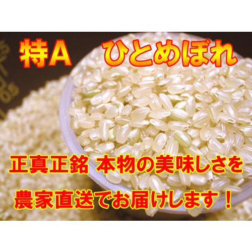 米 令和7年産 宮城県産 登米市産 ひとめぼれ 玄米 30kg (10kg×3袋