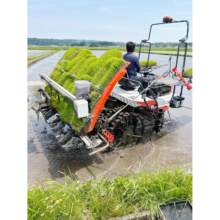 米 令和7年産 宮城県産 登米市産 ひとめぼれ 玄米 30kg (10kg×3袋