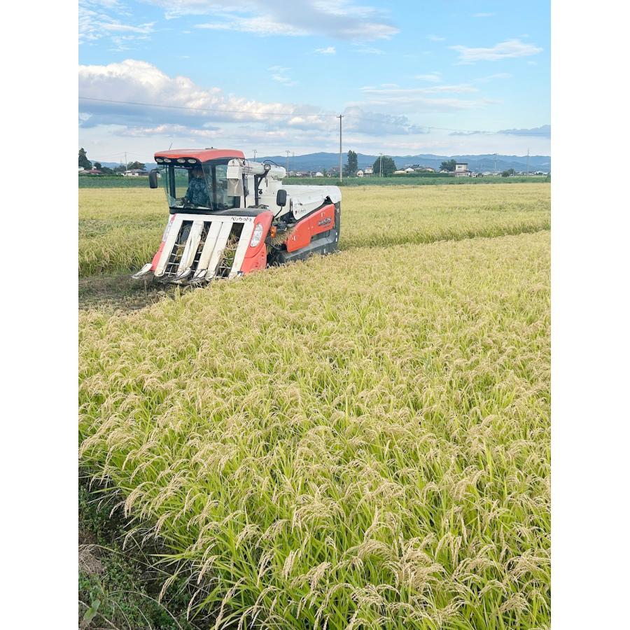 令和7年宮城県登米市産 ひとめぼれ 玄米10kg×3袋 小分け : ごとう農産