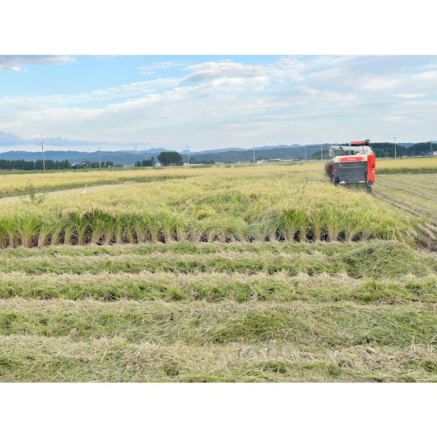 米 令和7年産 宮城県産 登米市産 ひとめぼれ 玄米 30kg (10kg×3袋