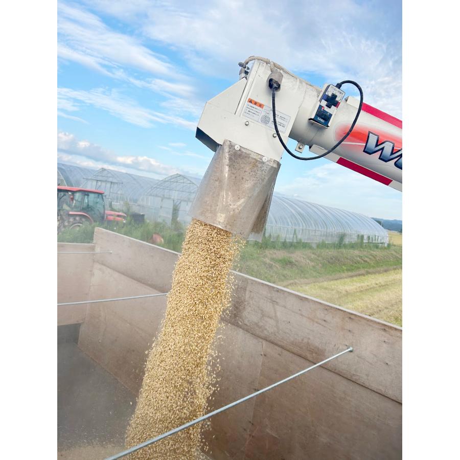 農家直送 送料無料 令和7年度 宮城県産ひとめぼれ 玄米 30kg 米 令和7年産 宮城県産 登米市産 ひとめぼれ 玄米 30kg (10kg×3袋