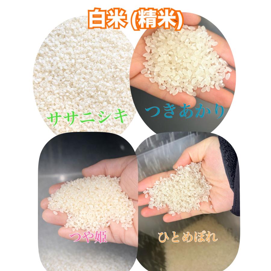 ひとめぼれ 米 令和7年産 宮城県産 登米市産 玄米 2kg 一等米 お米