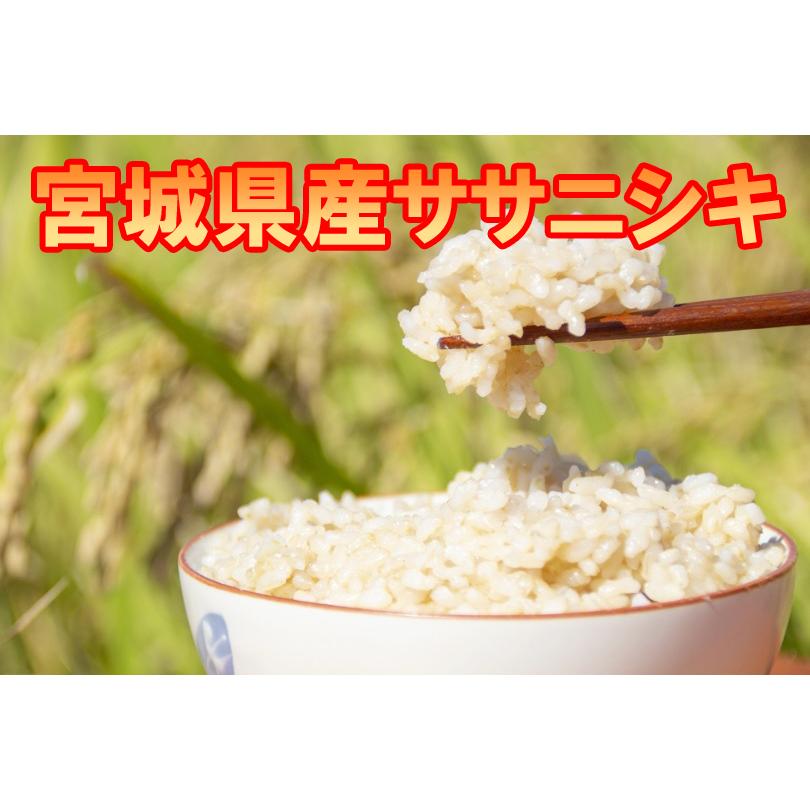 ササニシキ　玄米10kg　宮城県産　令和7年度 米 令和7年産 宮城県産 登米市産 ササニシキ 幻のお米 玄米10kg