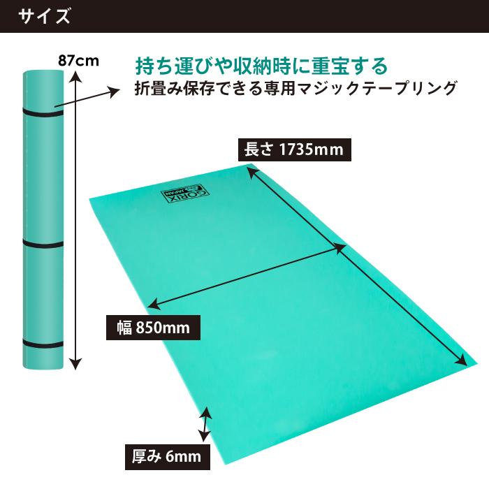 GORIX 【送料無料】GORIX ゴリックス トレーニングマット 自転車 (GX