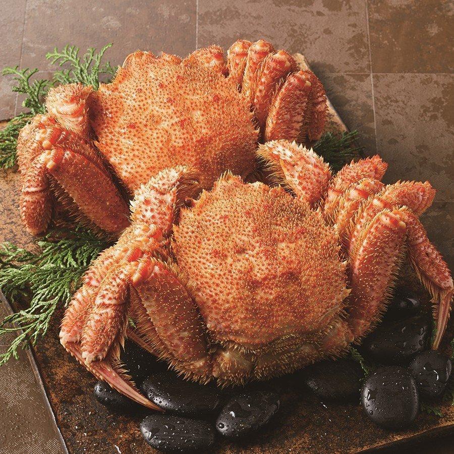 21 お中元 カタログギフト グルメ 送料無料 粗品 景品 お礼 御礼 返礼 百貨店 西武 そごう ごっつお便 Fnコース 西武 そごう ごっつお便paypayモール店 通販 Paypayモール