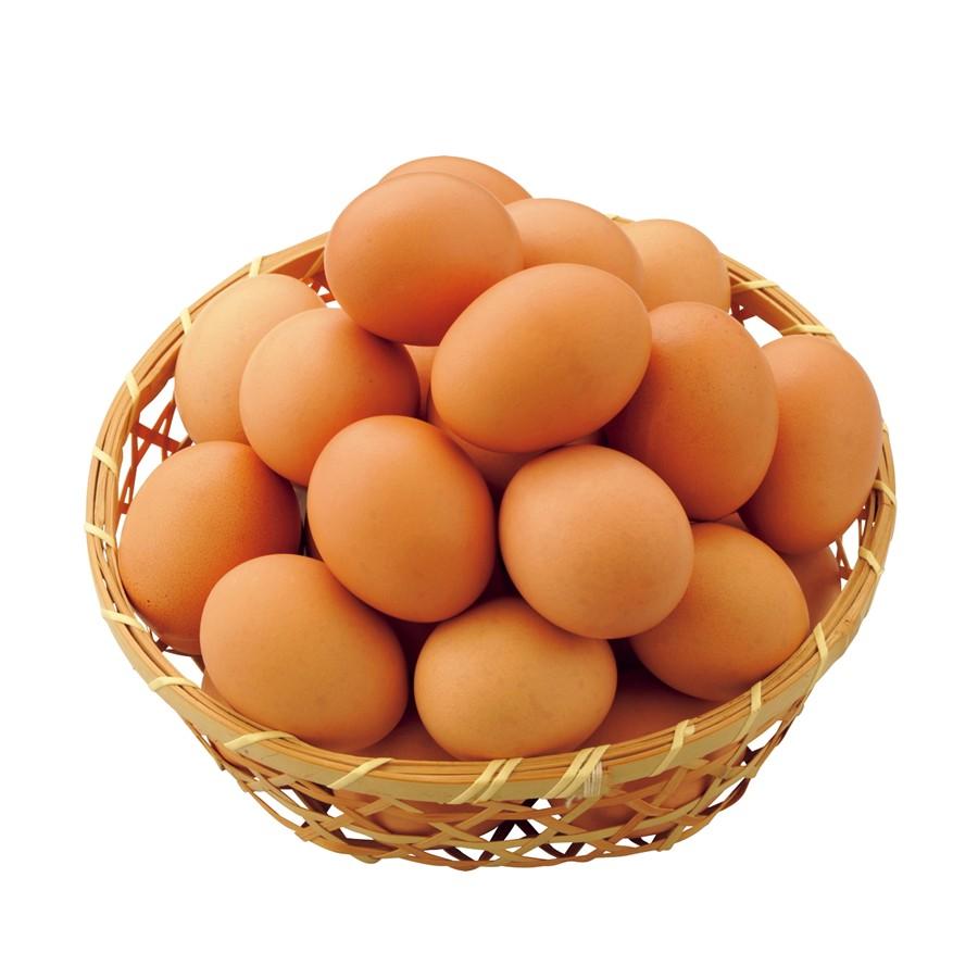 岡山 アルムの里 平飼い赤鶏 お庭のたまご 西武 そごう ごっつお便yahoo 店 通販 Paypayモール