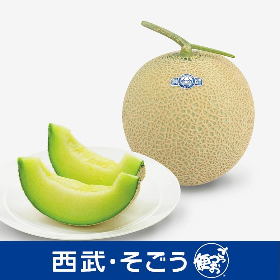史上最も激安 メロン 静岡 専門店 フルーツ 果物 デザート メロンショップ シマザキ 静岡 温室 マスクメロン 最安値に挑戦 Zoetalentsolutions Com