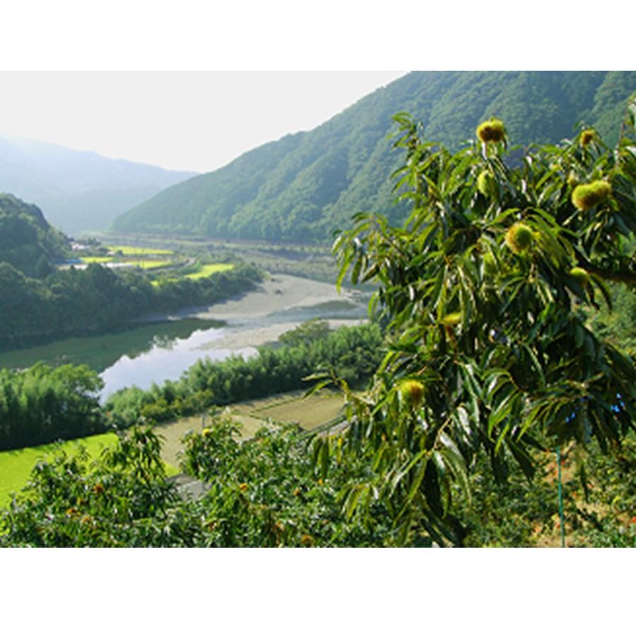 モンブラン 焼きモンブラン お取り寄せグルメ 四万十ドラマ 焼き