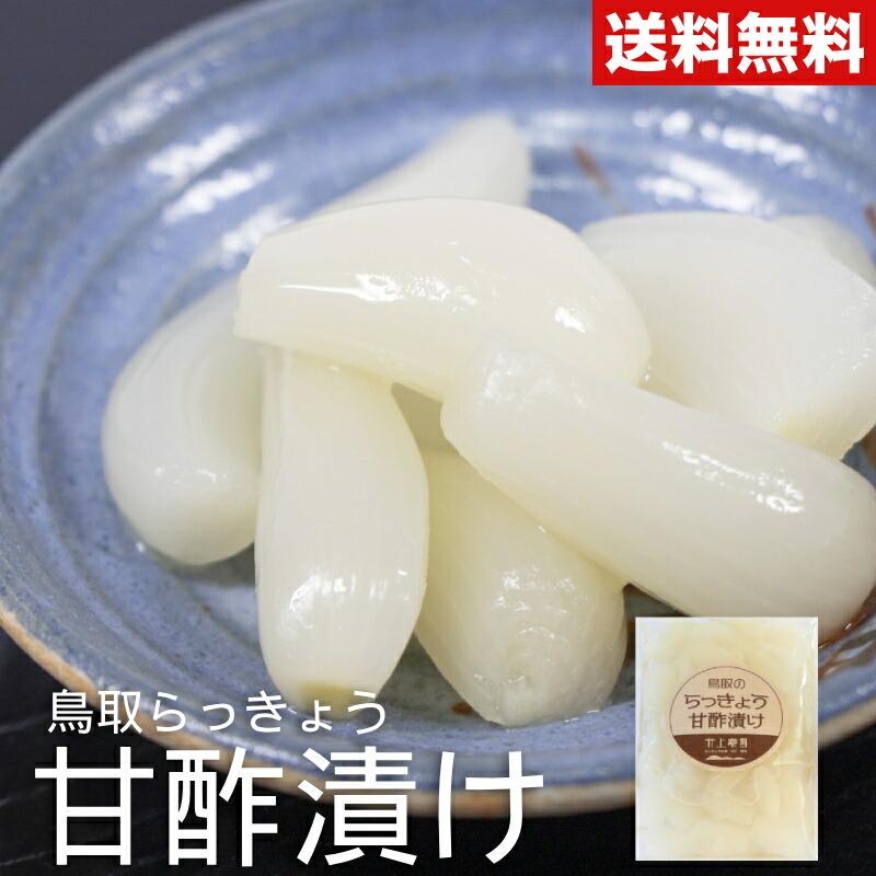 鳥取産 農家さんのらっきょう 甘酢漬け 100g×3袋 シャキシャキ食感