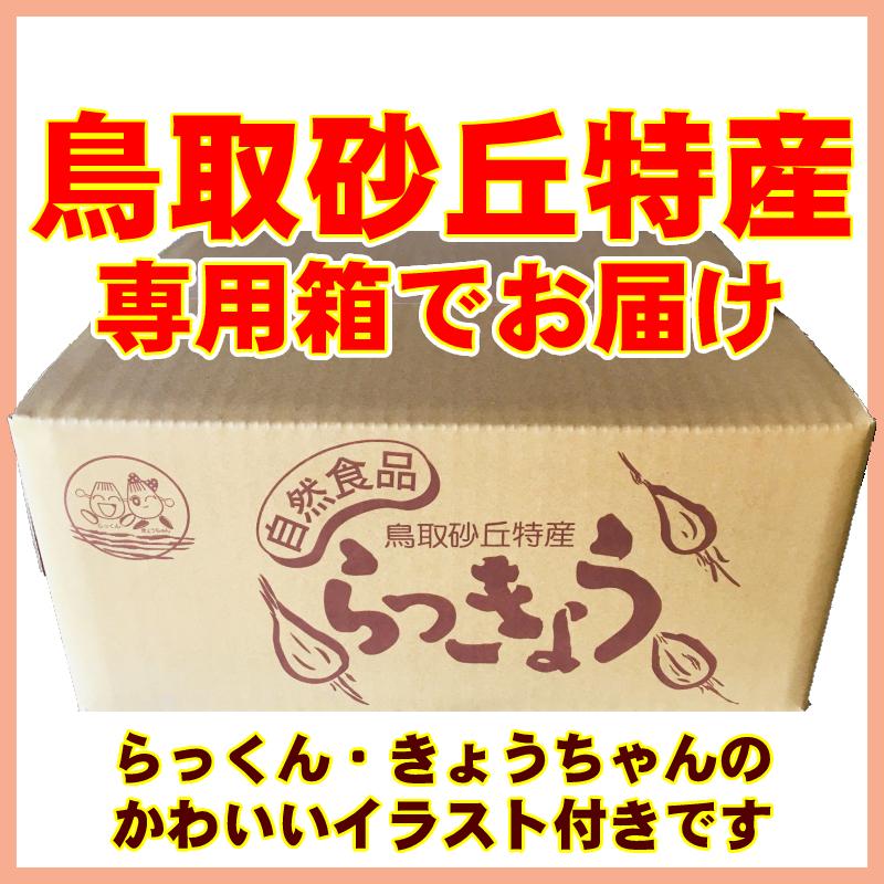 5 好評 残り僅か 鳥取県産 浜田さんの鳥取砂丘らっきょう 5kg 砂付き 根付き 茎付き らくだ 簡単漬けのレシピ付き 生 大きさ不揃い 福部 浜田園 種 苗 土 Aynaelda Com