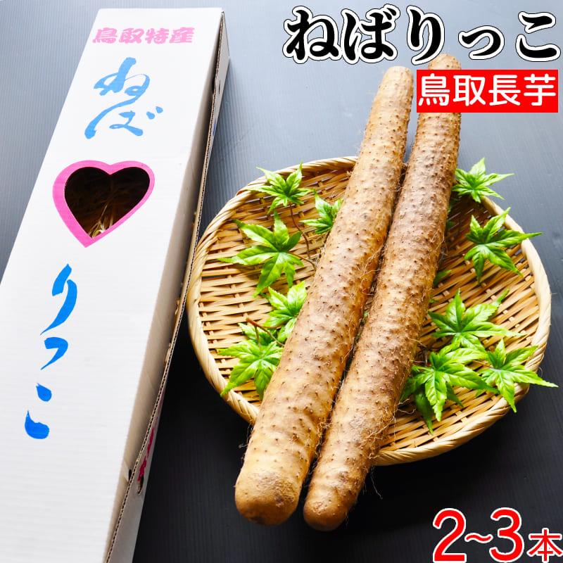 ラッピング ※ 鳥取県産 長芋 ねばりっこ 2〜3本 箱入 通販 山田農園 日付指定不可 他のメーカー商品との同梱不可 ラッピング ※ 鳥取県産 長芋 ねばりっこ 2〜3本 箱入 通販 山田農園 日付指定不可 他のメーカー商品との同梱不可