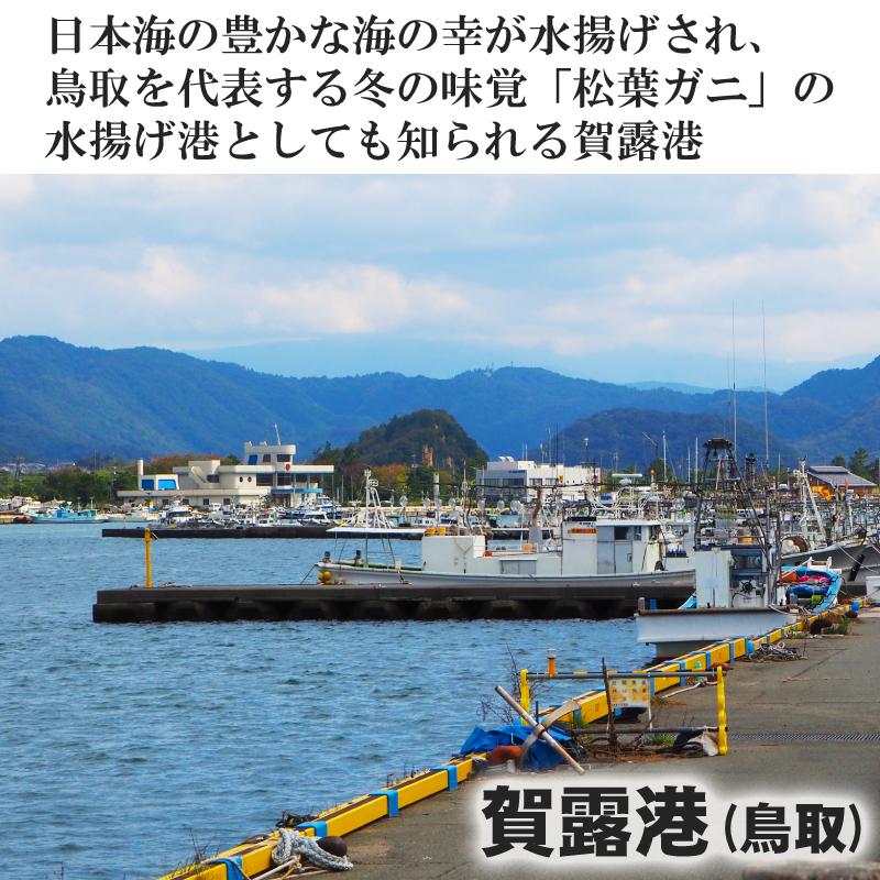 昔ながらの振り塩 鳥取県産 国産 かれい 一夜干し 干物 500g 厳選 4〜7枚 有頭 イテカレイ エテカレイ ひもの カレイ 山陰 日本海 産地直送 藪中商店 冷凍｜gottuou-tottori｜02