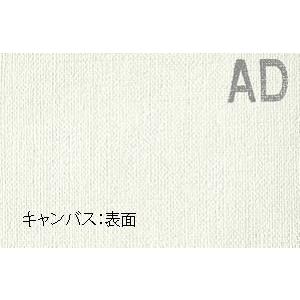 張りキャンバス(麻100％）・M60サイズ(1303mm x 803mm) : グーピル