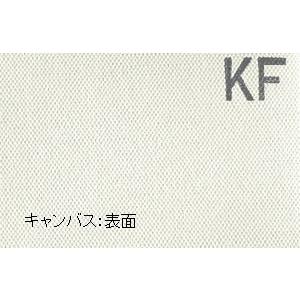 張りキャンバス(綿化繊混紡)・F30サイズ : グーピルギャラリー - 通販