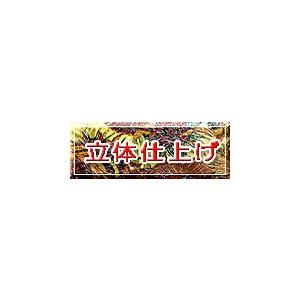 書きうつす画・写真立て付き添い人・【12号 写真立て付き添い人】モネ・「心証・有り明け方」
