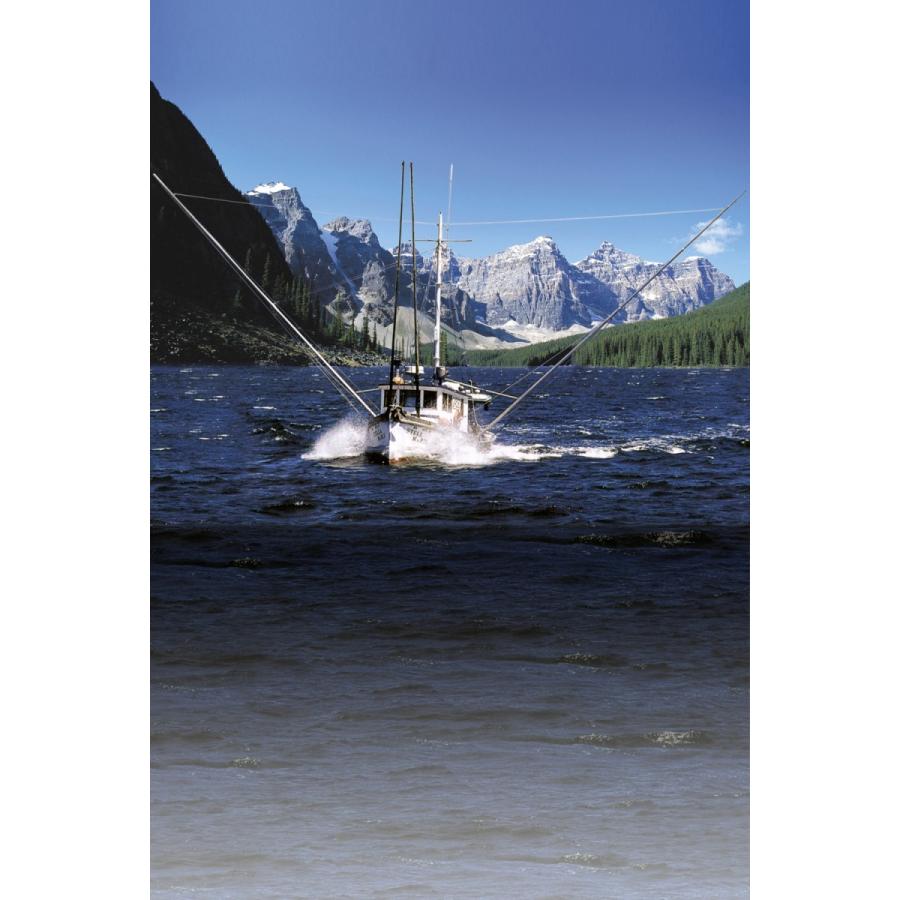 天然キングサーモン1匹まるごと約2ｋｇ 尾頭付き 業務用 048 カナディアングルメ グッズ 通販 Yahoo ショッピング