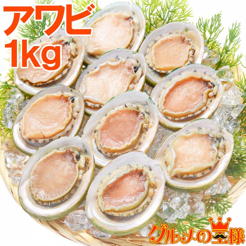あわび Lサイズ 1kg 1箱12個入り 殻つきお刺身用アワビ 翡翠の瞳 Awabi 1kg 訳あり 高級食材 グルメの王様 通販 Yahoo ショッピング