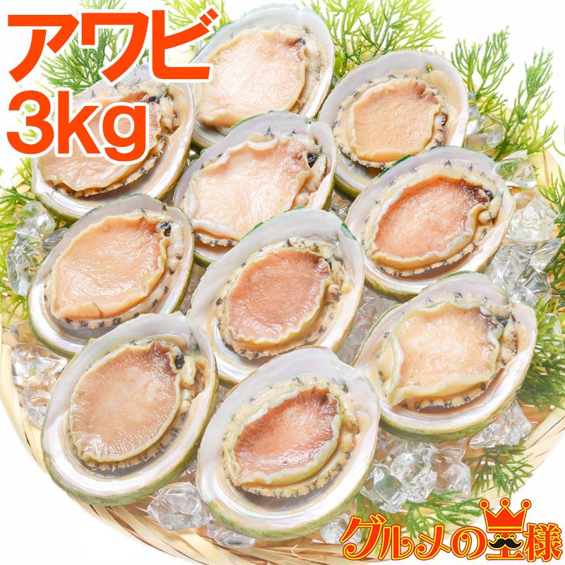 安い あわび Lサイズ 3kg 合計36個 1箱12個入り 殻つきお刺身用アワビ 翡翠の瞳 55 以上節約 Www Muslimaidusa Org