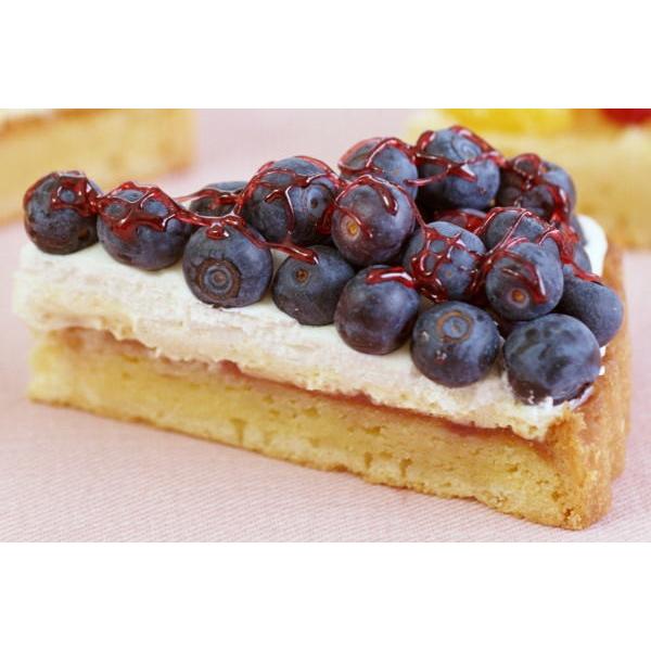 ブルーベリー 冷凍ブルーベリー 500g 1 冷凍フルーツ ヨナナス Blueberry 1p 訳あり 高級食材 グルメの王様 通販 Yahoo ショッピング