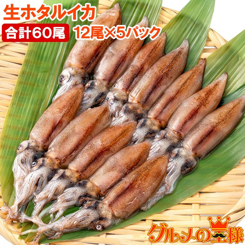 訳あり 高級食材 グルメの王様ホタルイカ ほたるいか 100尾 約150g 5パック 富山産 刺身用 いか イカ 烏賊 生ホタルイカ 新しく着き