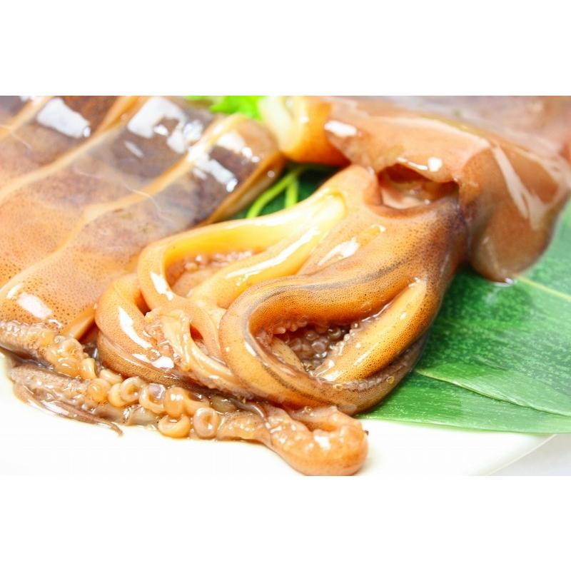 特大国産真いかの沖漬け 1杯 1パック いか イカ 烏賊 Ika Okizuke 訳あり 高級食材 グルメの王様 通販 Yahoo ショッピング