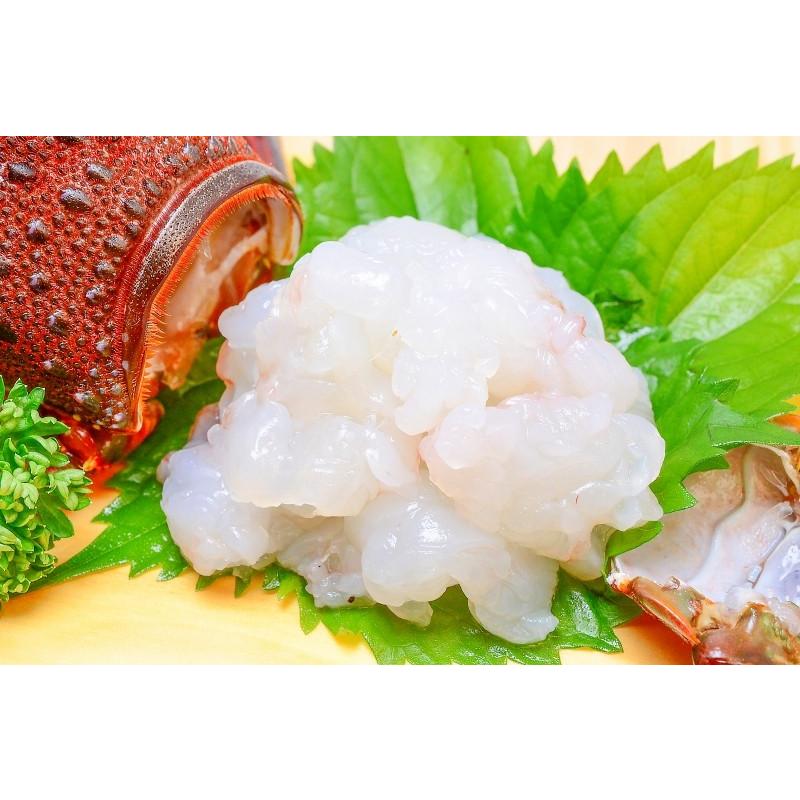 伊勢海老 伊勢エビ 伊勢えび いせえび イセエビ 国産 250g前後 10尾 q バーベキュー えび 海老 エビ おせち Ise Ebi 10p 訳あり 高級食材 グルメの王様 通販 Yahoo ショッピング