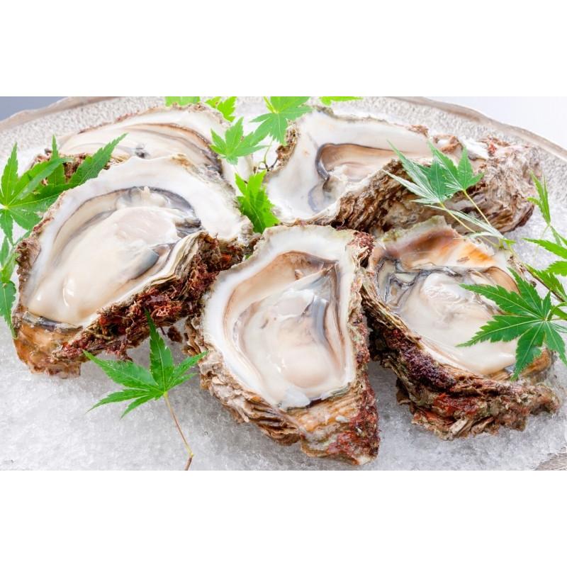 生牡蠣 殻付き 生食用カキ 48個入り 冷凍殻付き牡蠣 生食用 : 訳あり～高級食材 グルメの王様 - 通販 - Yahoo!ショッピング
