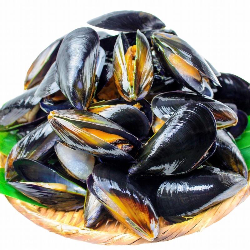 ムール貝 1kg ボイル 殻つき Moule 1kg 訳あり 高級食材 グルメの王様 通販 Yahoo ショッピング