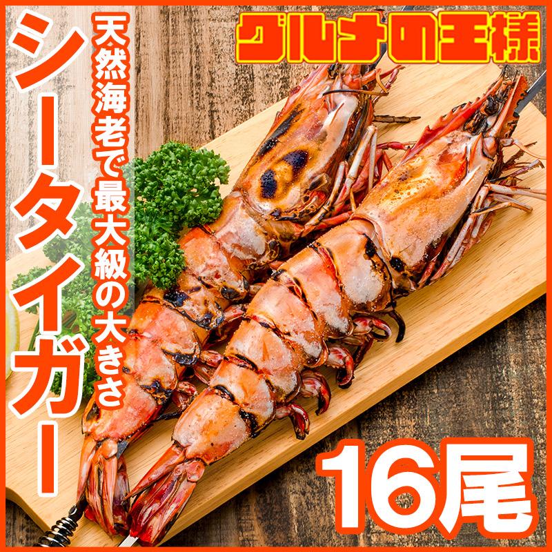 シータイガー 16尾 約30cm 1.5kg×2箱 天然 特大 超特大 エビ えび 海老