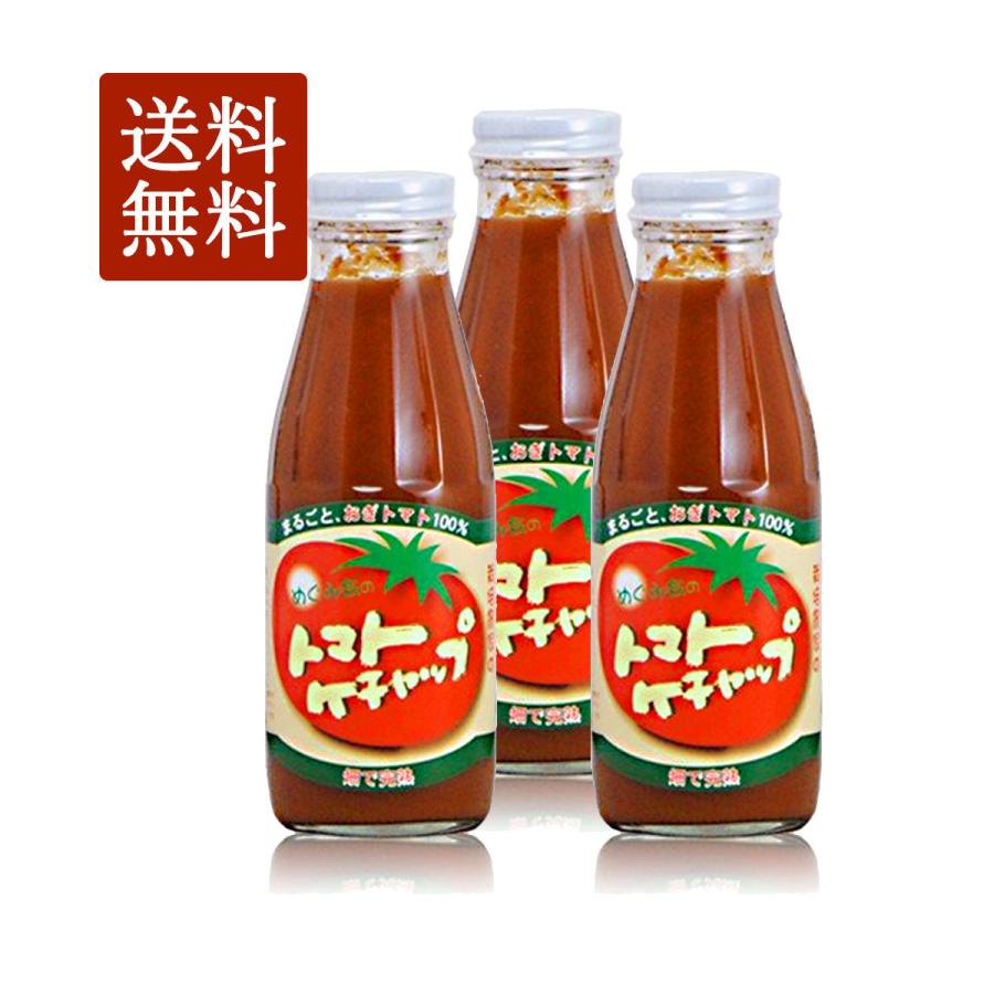めぐみ会 トマトケチャップ385g×3本 大分県荻町 とまとの里の贈りもの