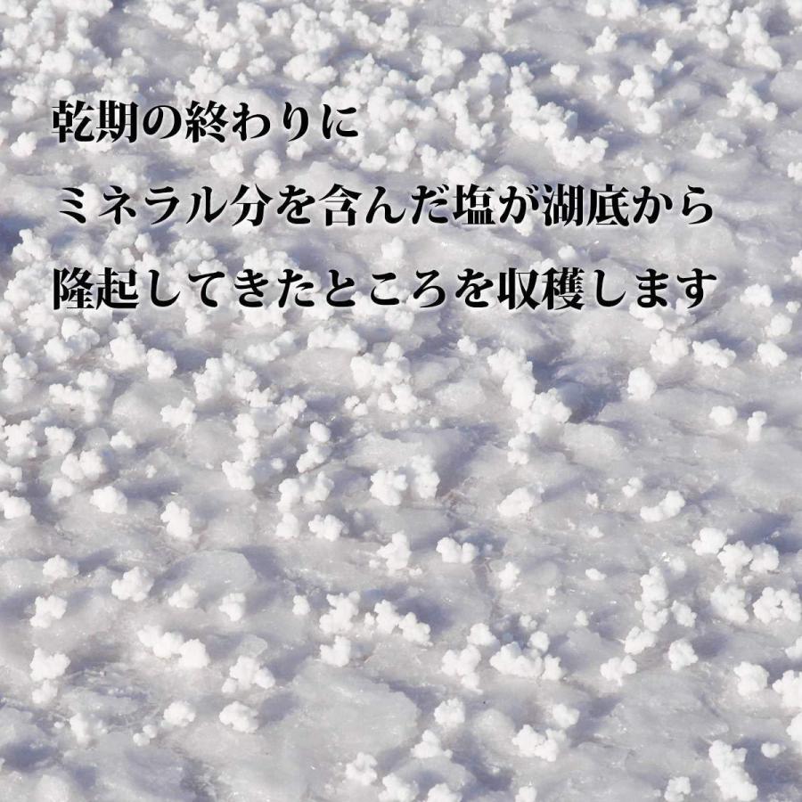 ミネラルハーヴェスト塩 ミネラル バランスの良い 湖塩 自然塩・ スーパーファイン（細粒塩 10kg）  ミネラル 湖塩 塩 しお ソルト 天日塩 自然塩｜gourmet-sommelier｜05