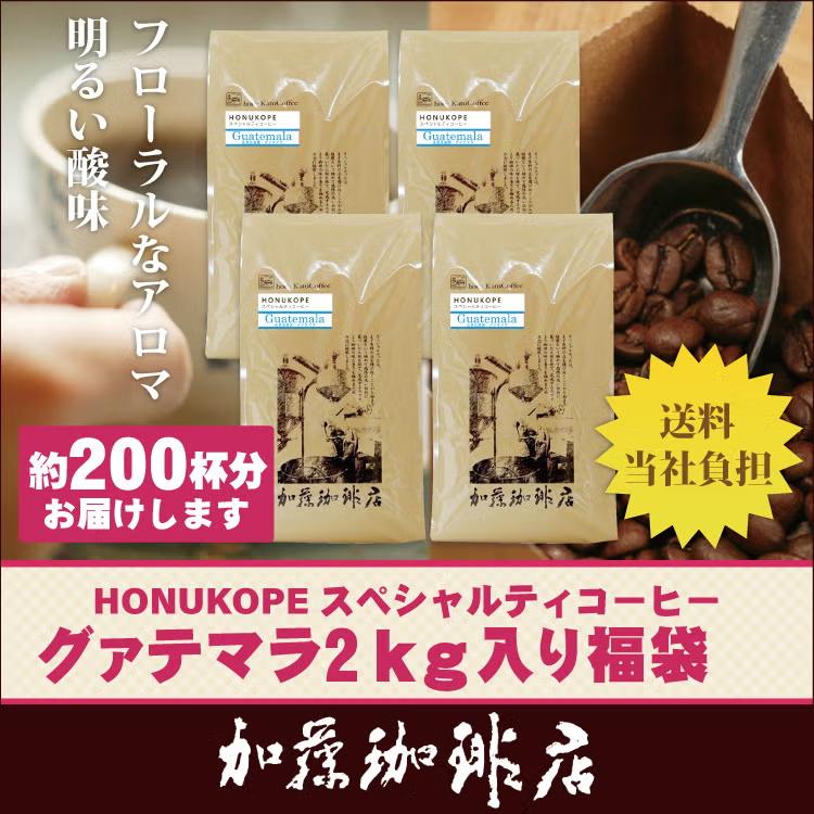 スペシャルティコーヒー生豆2kgグアテマラ SHB アゾティア農園 RA認証