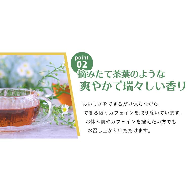 リプトン カフェインレスティー ティーバッグ6箱セット|グルメコーヒー豆専門!加藤珈琲店|02