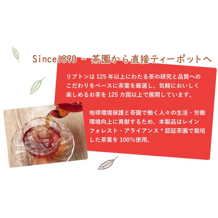 アベイ リプトン アップルティー ティーバッグ6箱セット/珈琲 紅茶