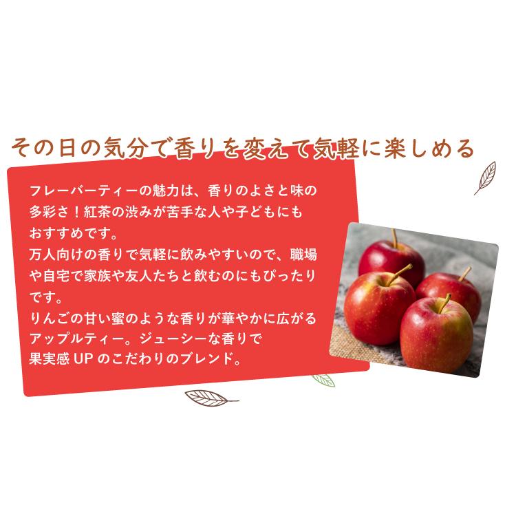 アベイ リプトン アップルティー ティーバッグ6箱セット/珈琲 紅茶
