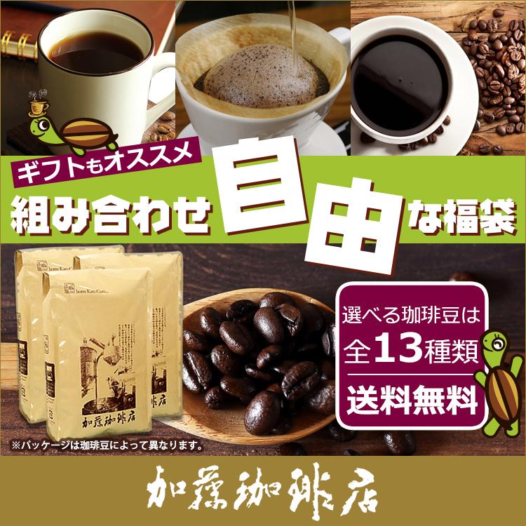コーヒー豆 コーヒー 1.5kg 福袋 組み合わせ自由な福袋(各500g) 珈琲豆