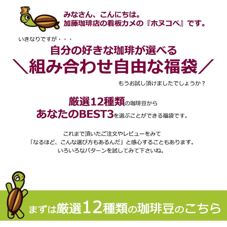 組み合わせ自由な福袋(各500g) 珈琲豆 粉 ギフト 加藤珈琲 : グルメ