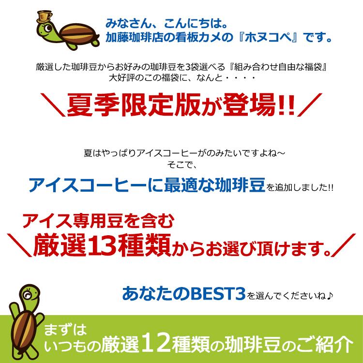 組み合わせ自由な福袋(各500g) 珈琲豆 粉 ギフト 加藤珈琲 : グルメ