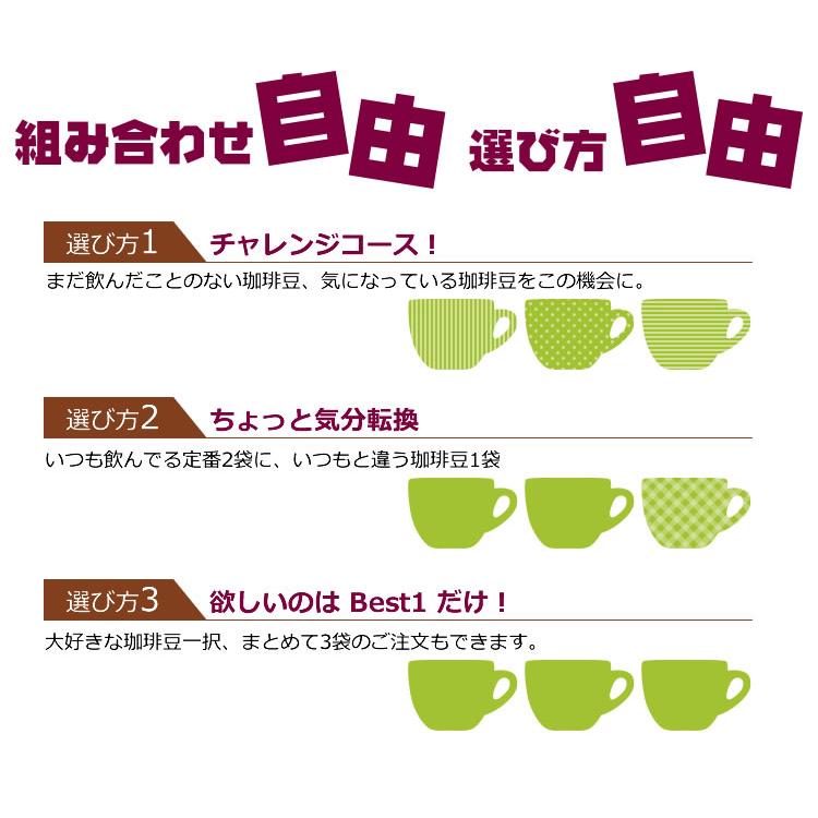 組み合わせ自由な福袋(各500g) 珈琲豆 粉 ギフト 加藤珈琲 : グルメ